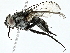  ( - BIOUG91356-D06)  @11 [ ] CreativeCommons - Attribution (2022) CBG Photography Group Centre for Biodiversity Genomics