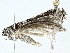  ( - BIOUG91356-G11)  @11 [ ] CreativeCommons - Attribution (2022) CBG Photography Group Centre for Biodiversity Genomics