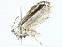  ( - BIOUG91358-D06)  @11 [ ] CreativeCommons - Attribution (2022) CBG Photography Group Centre for Biodiversity Genomics