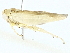  ( - BIOUG91358-D08)  @11 [ ] CreativeCommons - Attribution (2022) CBG Photography Group Centre for Biodiversity Genomics