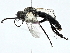  ( - BIOUG91358-E11)  @11 [ ] CreativeCommons - Attribution (2022) CBG Photography Group Centre for Biodiversity Genomics
