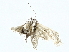  ( - BIOUG91359-B08)  @11 [ ] CreativeCommons - Attribution (2022) CBG Photography Group Centre for Biodiversity Genomics