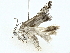  ( - BIOUG91359-D08)  @11 [ ] CreativeCommons - Attribution (2022) CBG Photography Group Centre for Biodiversity Genomics