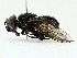  ( - BIOUG91359-G01)  @11 [ ] CreativeCommons - Attribution (2022) CBG Photography Group Centre for Biodiversity Genomics