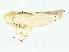  ( - BIOUG91359-H01)  @11 [ ] CreativeCommons - Attribution (2022) CBG Photography Group Centre for Biodiversity Genomics
