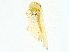  ( - BIOUG91359-H03)  @11 [ ] CreativeCommons - Attribution (2022) CBG Photography Group Centre for Biodiversity Genomics