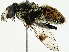  ( - BIOUG91360-A01)  @11 [ ] CreativeCommons - Attribution (2023) CBG Photography Group Centre for Biodiversity Genomics