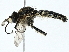  ( - BIOUG91360-B08)  @11 [ ] CreativeCommons - Attribution (2023) CBG Photography Group Centre for Biodiversity Genomics