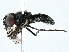 ( - BIOUG91360-G08)  @11 [ ] CreativeCommons - Attribution (2023) CBG Photography Group Centre for Biodiversity Genomics
