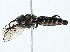  ( - BIOUG91360-G09)  @11 [ ] CreativeCommons - Attribution (2023) CBG Photography Group Centre for Biodiversity Genomics