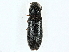  ( - BIOUG97729-B10)  @11 [ ] CreativeCommons - Attribution (2023) CBG Photography Group Centre for Biodiversity Genomics