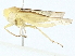  ( - BIOUG97729-B11)  @11 [ ] CreativeCommons - Attribution (2023) CBG Photography Group Centre for Biodiversity Genomics