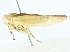  ( - BIOUG97729-C05)  @11 [ ] CreativeCommons - Attribution (2023) CBG Photography Group Centre for Biodiversity Genomics