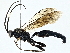  ( - BIOUG97729-D06)  @11 [ ] CreativeCommons - Attribution (2023) CBG Photography Group Centre for Biodiversity Genomics