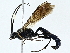  ( - BIOUG97729-G12)  @11 [ ] CreativeCommons - Attribution (2023) CBG Photography Group Centre for Biodiversity Genomics