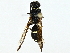  ( - BIOUG97729-H03)  @11 [ ] CreativeCommons - Attribution (2023) CBG Photography Group Centre for Biodiversity Genomics
