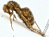  ( - BIOUG97729-H07)  @11 [ ] CreativeCommons - Attribution (2023) CBG Photography Group Centre for Biodiversity Genomics
