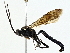  ( - BIOUG97730-A02)  @11 [ ] CreativeCommons - Attribution (2023) CBG Photography Group Centre for Biodiversity Genomics