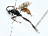  ( - BIOUG97730-E07)  @11 [ ] CreativeCommons - Attribution (2023) CBG Photography Group Centre for Biodiversity Genomics