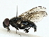  ( - BIOUG97730-H04)  @11 [ ] CreativeCommons - Attribution (2023) CBG Photography Group Centre for Biodiversity Genomics