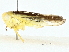  ( - BIOUG97732-H04)  @11 [ ] CreativeCommons - Attribution (2023) CBG Photography Group Centre for Biodiversity Genomics