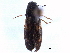  ( - CCDB-22965-B10)  @11 [ ] CreativeCommons - Attribution (2015) CBG Photography Group Centre for Biodiversity Genomics
