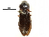  ( - CCDB-22965-G06)  @11 [ ] CreativeCommons - Attribution (2015) CBG Photography Group Centre for Biodiversity Genomics