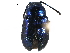  (Gastrophysa dissimilis - CCDB-22981-D12)  @14 [ ] CreativeCommons - Attribution (2015) CBG Photography Group Centre for Biodiversity Genomics