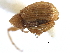  ( - CCDB-22983-B01)  @11 [ ] CreativeCommons - Attribution (2015) CBG Photography Group Centre for Biodiversity Genomics
