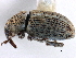  ( - CCDB-22983-E02)  @11 [ ] CreativeCommons - Attribution (2015) CBG Photography Group Centre for Biodiversity Genomics