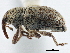  ( - CCDB-22983-E06)  @11 [ ] CreativeCommons - Attribution (2015) CBG Photography Group Centre for Biodiversity Genomics