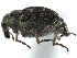  ( - CCDB-22983-F02)  @11 [ ] CreativeCommons - Attribution (2015) CBG Photography Group Centre for Biodiversity Genomics