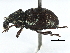 ( - CCDB-22984-B10)  @11 [ ] CreativeCommons - Attribution (2015) CBG Photography Group Centre for Biodiversity Genomics