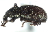  ( - CCDB-22984-B11)  @11 [ ] CreativeCommons - Attribution (2015) CBG Photography Group Centre for Biodiversity Genomics