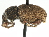  ( - CCDB-22984-B12)  @15 [ ] CreativeCommons - Attribution (2015) CBG Photography Group Centre for Biodiversity Genomics