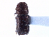  ( - CCDB-22986-A02)  @11 [ ] CreativeCommons - Attribution (2015) CBG Photography Group Centre for Biodiversity Genomics