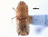  ( - CCDB-22986-A04)  @11 [ ] CreativeCommons - Attribution (2015) CBG Photography Group Centre for Biodiversity Genomics
