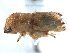  ( - CCDB-22986-A04)  @11 [ ] CreativeCommons - Attribution (2015) CBG Photography Group Centre for Biodiversity Genomics
