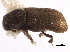  ( - CCDB-22986-C04)  @11 [ ] CreativeCommons - Attribution (2015) CBG Photography Group Centre for Biodiversity Genomics