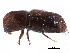  ( - CCDB-22986-D03)  @11 [ ] CreativeCommons - Attribution (2015) CBG Photography Group Centre for Biodiversity Genomics
