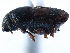  ( - CCDB-22986-E04)  @13 [ ] CreativeCommons - Attribution (2015) CBG Photography Group Centre for Biodiversity Genomics