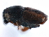  ( - CCDB-22986-E05)  @12 [ ] CreativeCommons - Attribution (2015) CBG Photography Group Centre for Biodiversity Genomics