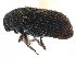  ( - CCDB-22986-E11)  @11 [ ] CreativeCommons - Attribution (2015) CBG Photography Group Centre for Biodiversity Genomics