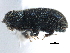  ( - CCDB-22986-F02)  @11 [ ] CreativeCommons - Attribution (2015) CBG Photography Group Centre for Biodiversity Genomics