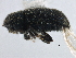  ( - CCDB-22986-F04)  @11 [ ] CreativeCommons - Attribution (2015) CBG Photography Group Centre for Biodiversity Genomics