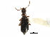  ( - CCDB-22986-G04)  @11 [ ] CreativeCommons - Attribution (2015) CBG Photography Group Centre for Biodiversity Genomics