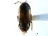  ( - CCDB-22986-H09)  @14 [ ] CreativeCommons - Attribution (2015) CBG Photography Group Centre for Biodiversity Genomics