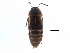  ( - CCDB-22986-H11)  @11 [ ] CreativeCommons - Attribution (2015) CBG Photography Group Centre for Biodiversity Genomics