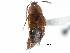  ( - CCDB-22987-E02)  @11 [ ] CreativeCommons - Attribution (2015) CBG Photography Group Centre for Biodiversity Genomics