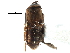  ( - CCDB-22987-E11)  @11 [ ] CreativeCommons - Attribution (2015) CBG Photography Group Centre for Biodiversity Genomics